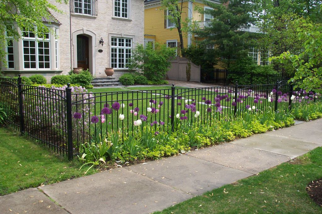 Wrought Iron Fence