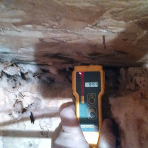 Mold found hidden behind insulation along band boa