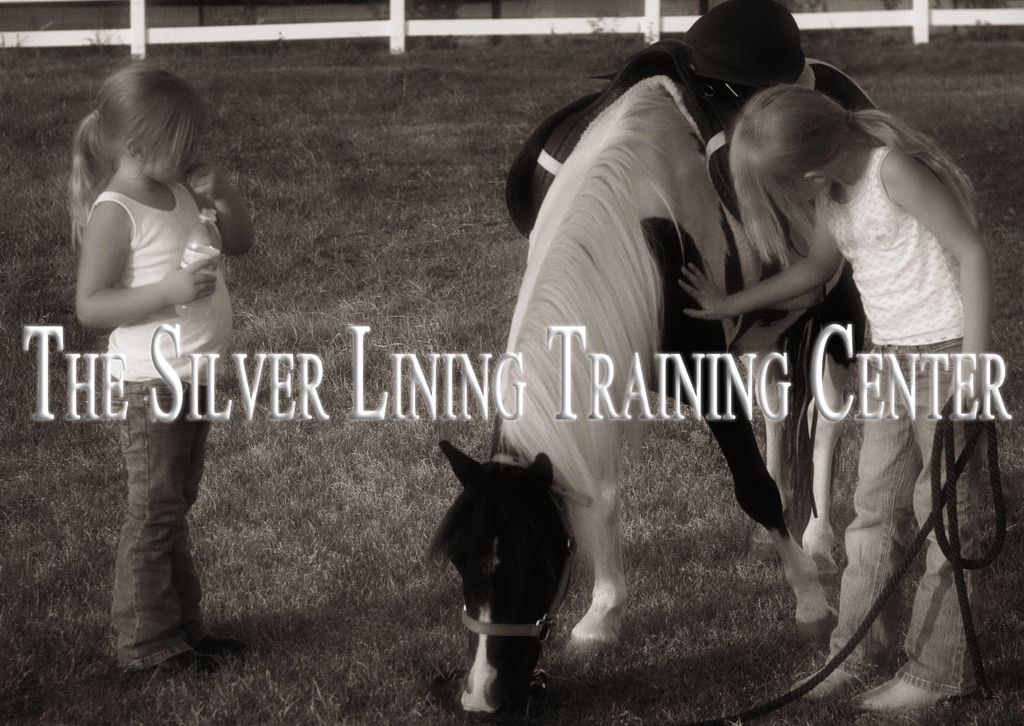The Silver Lining Training Center