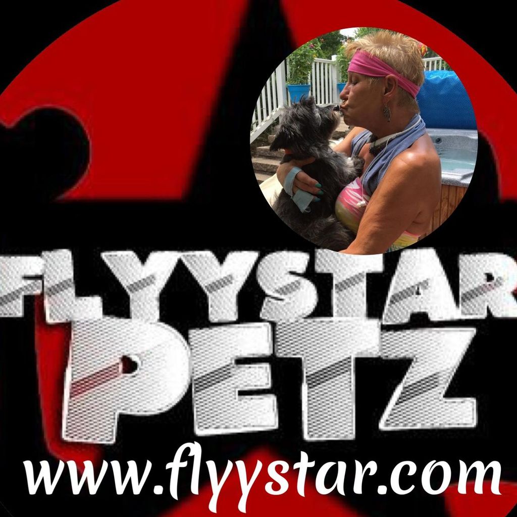 FlyyStarPetz