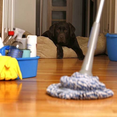 PVA ZONE SOLUTIONS (CLEANING SERVICES). Here, our 