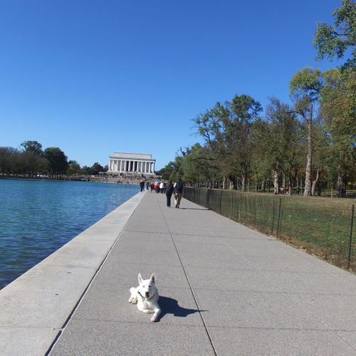 Ghost during her field trip to D.C.