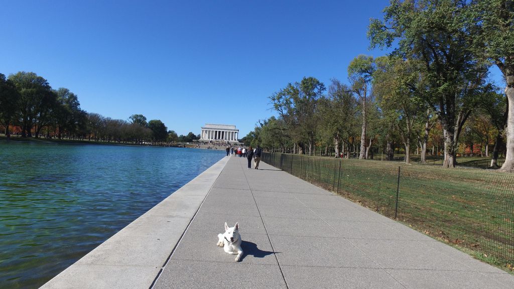 Ghost during her field trip to D.C.