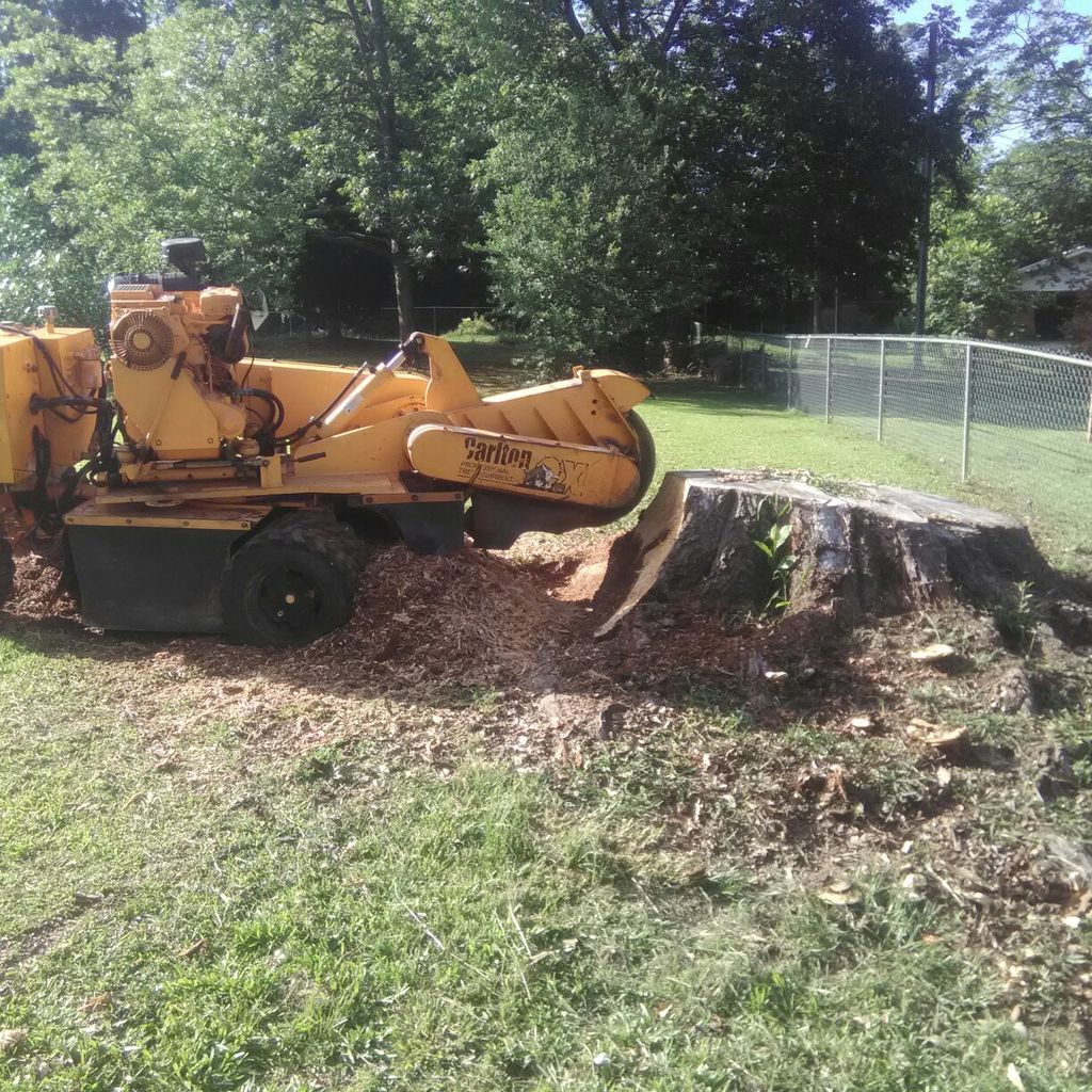 Ford's stump grinding