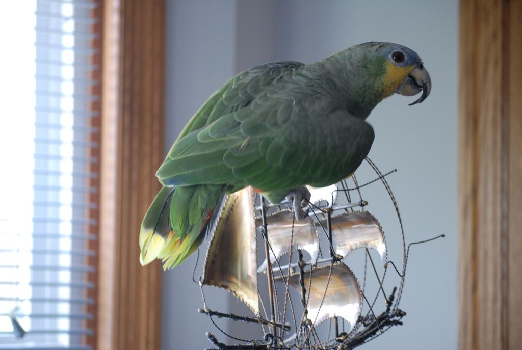 One of my more interesting clients