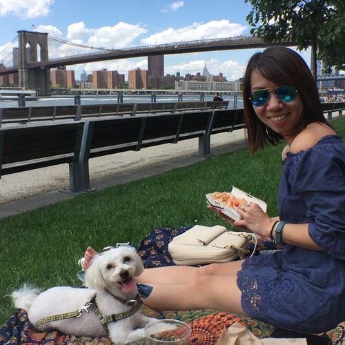 Picnic in Dumbo with Tofu
