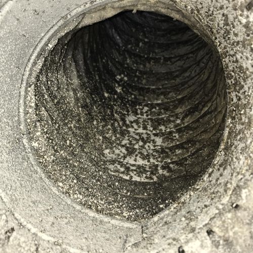 Mold Growth Inside ductwork