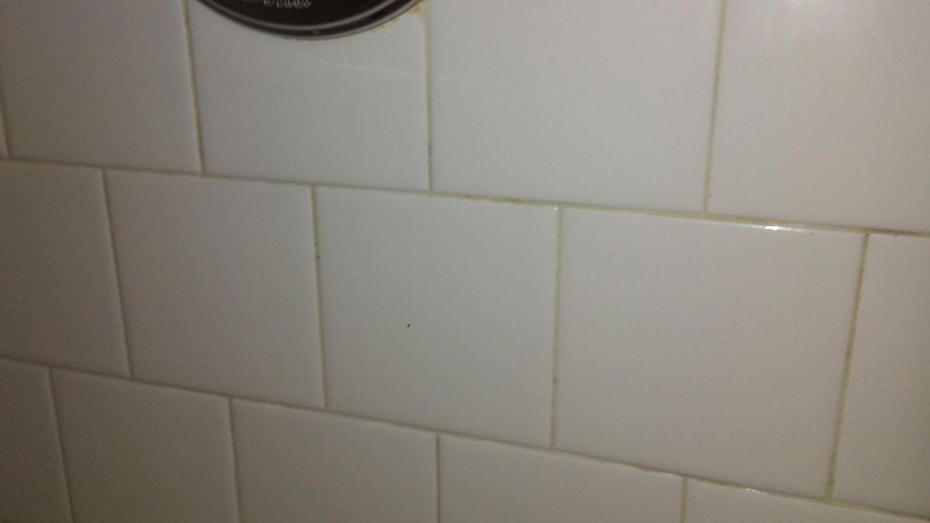 After- Shower tile grout