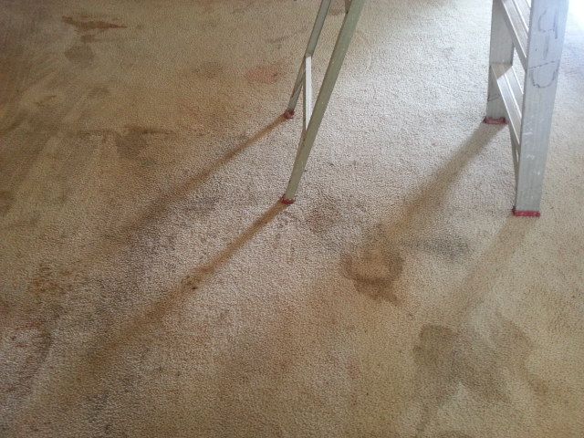 This is a before picture of a carpet cleaning job 