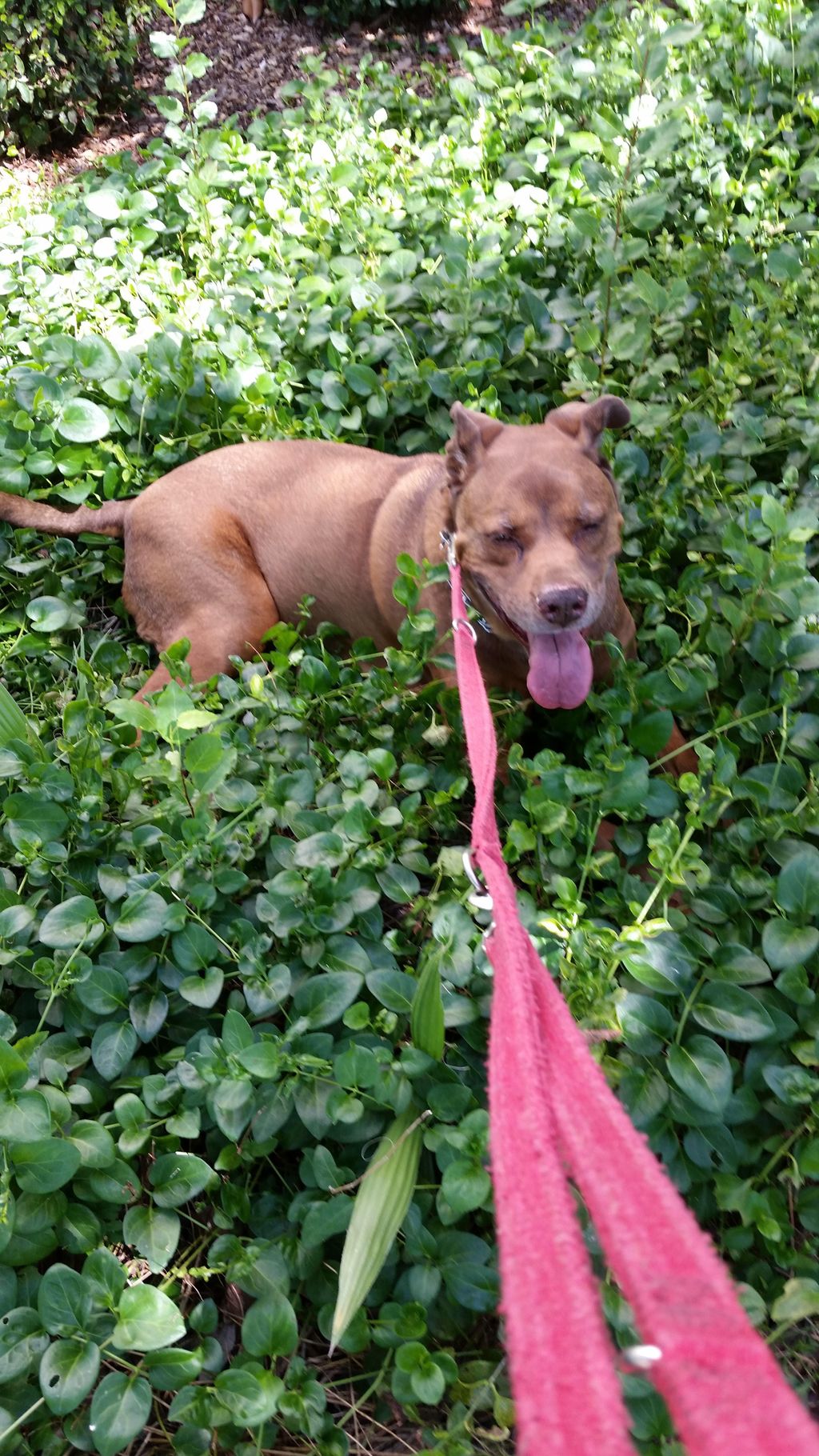 Redd acting like the fool that he can be! Love the