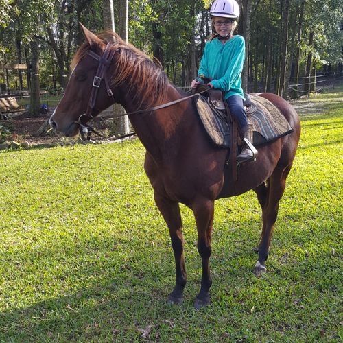 Iron Horse Stables Cantonment Fl
