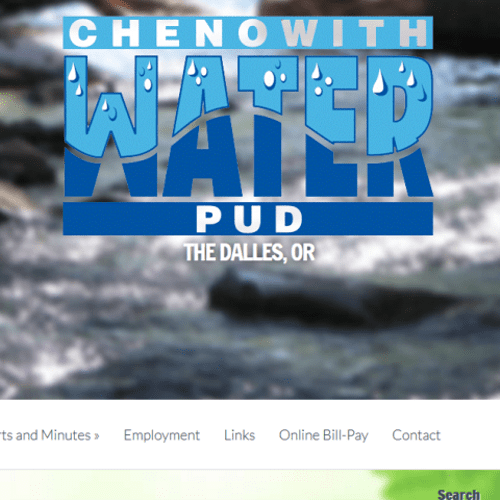 ScreenShot of the local water PUD WebSite I've mad