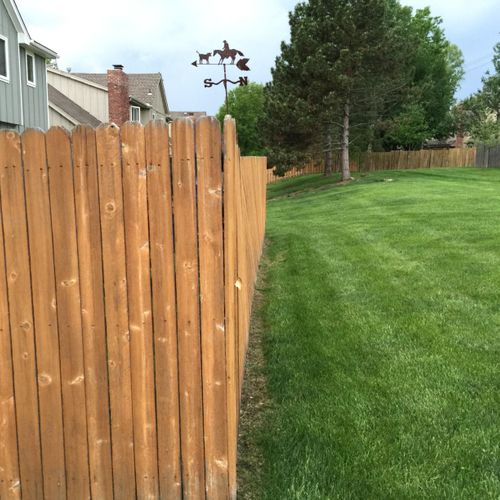BEFORE:
19-year-old cedar fence with significant l
