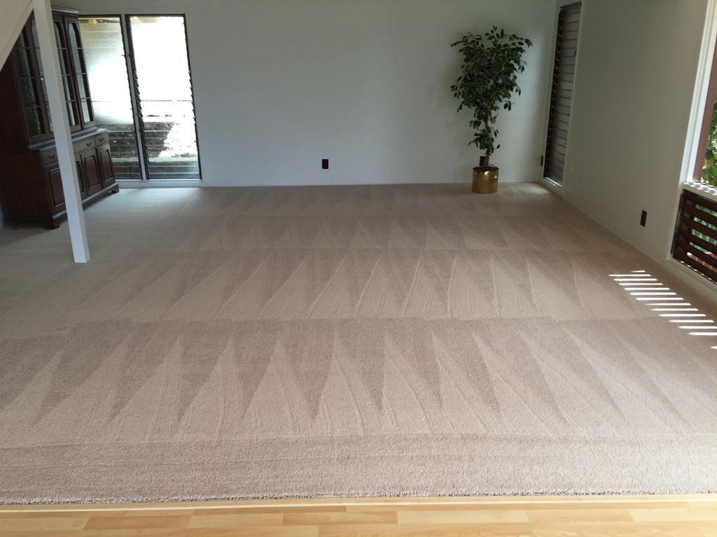 Riptide Carpet Cleaning & Restoration