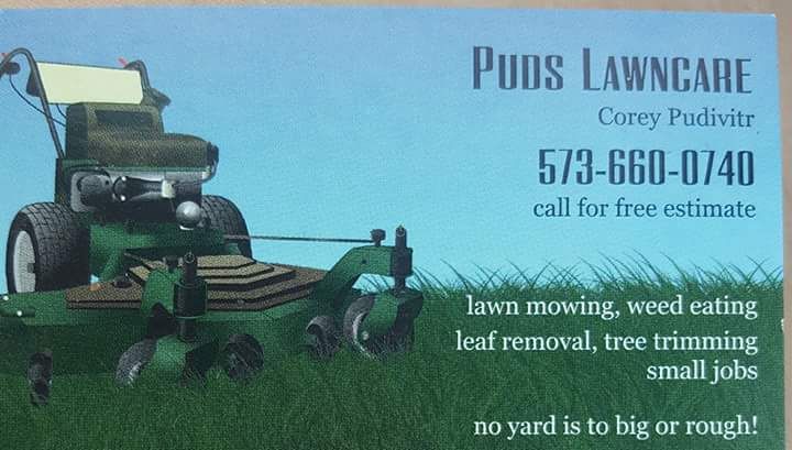 puds lawn care and handy man services