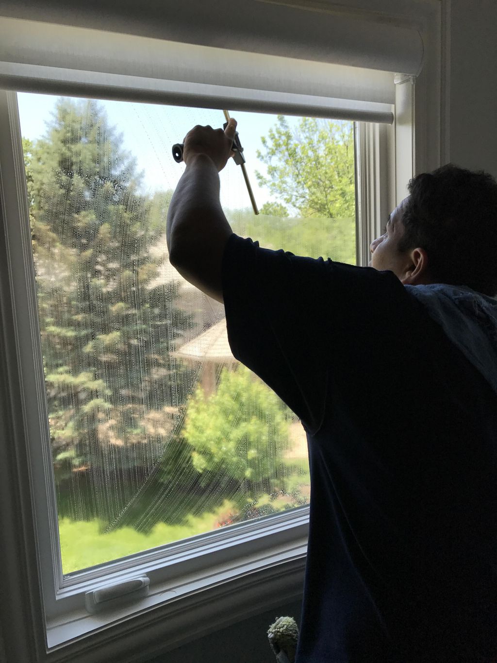 Window Cleaning