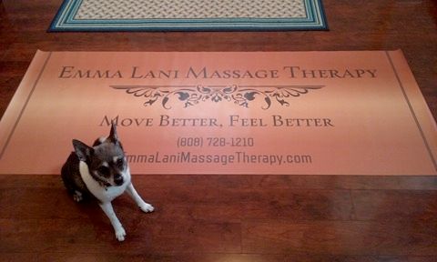 Emma Lani Massage Therapy's new banner 