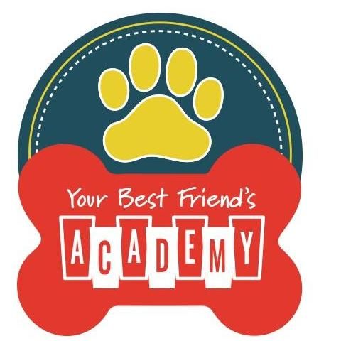 Your Best Friend's Academy