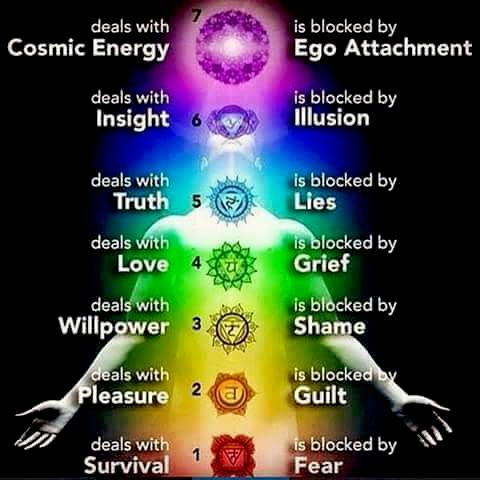 The basic Chakra system.  Polarity Therapy brings 