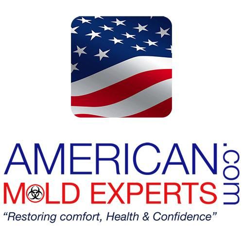 American Mold Experts