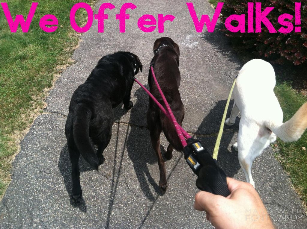 Dog Walking, Dog Walker Dallas, 75219, 75204, 7520