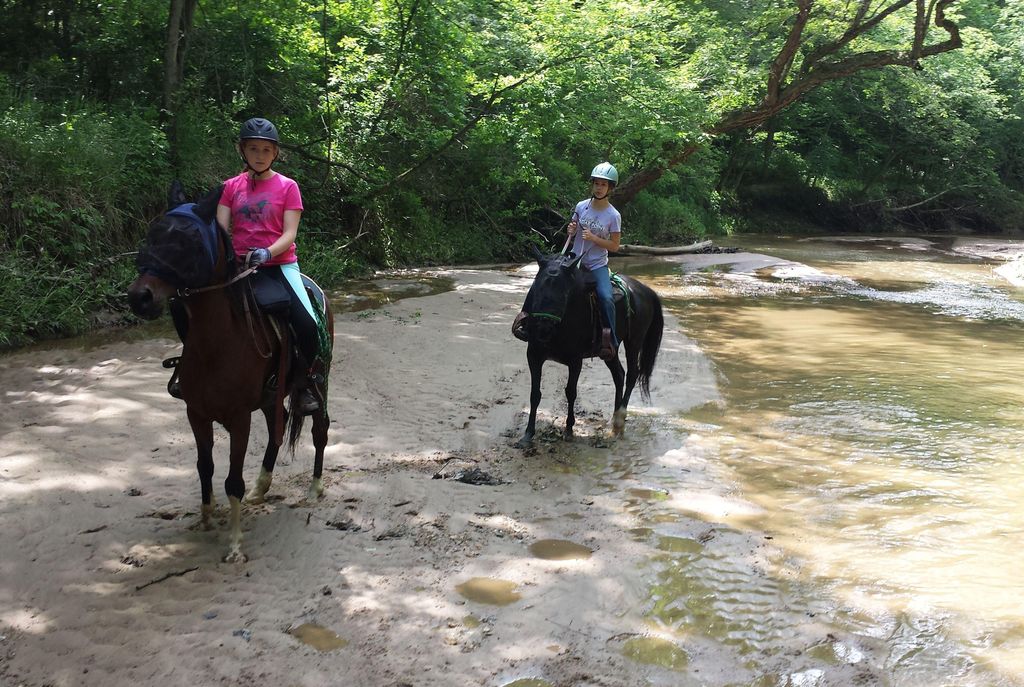 Iris on Hank and Elise on Aspen in Iowa on one of 