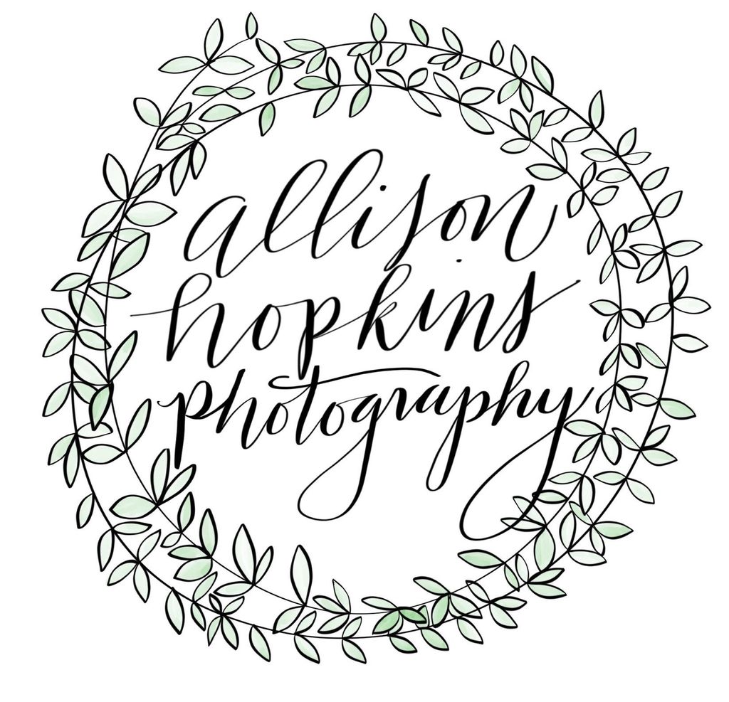 Allison Hopkins Photography