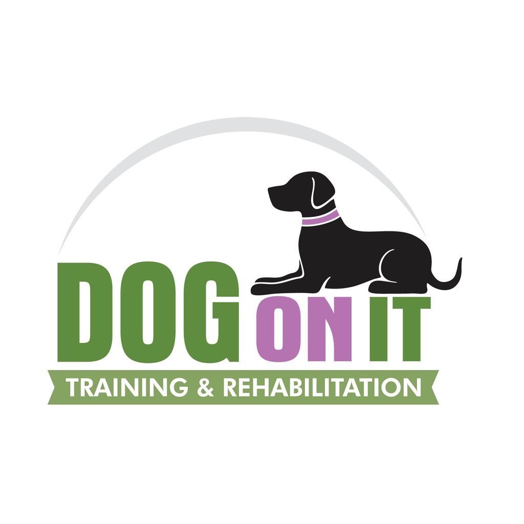 Dog On It Training and Rehabilitation