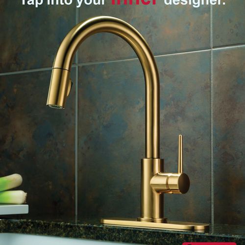 Delta Faucet Advertisement, for Pellissippi State 