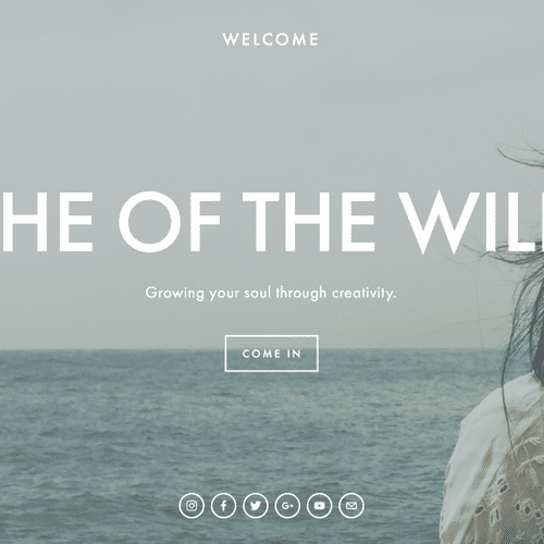 I am the CEO of She of the Wild, my web brand. As 