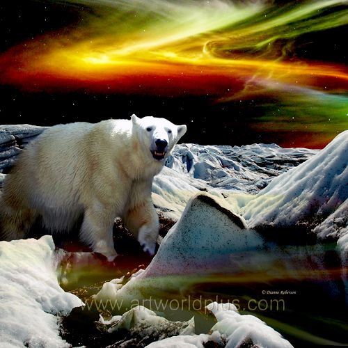 An Alaska polar bear and the northern lights.
