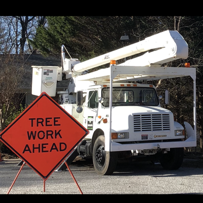 clean cut tree service robbinsville nc