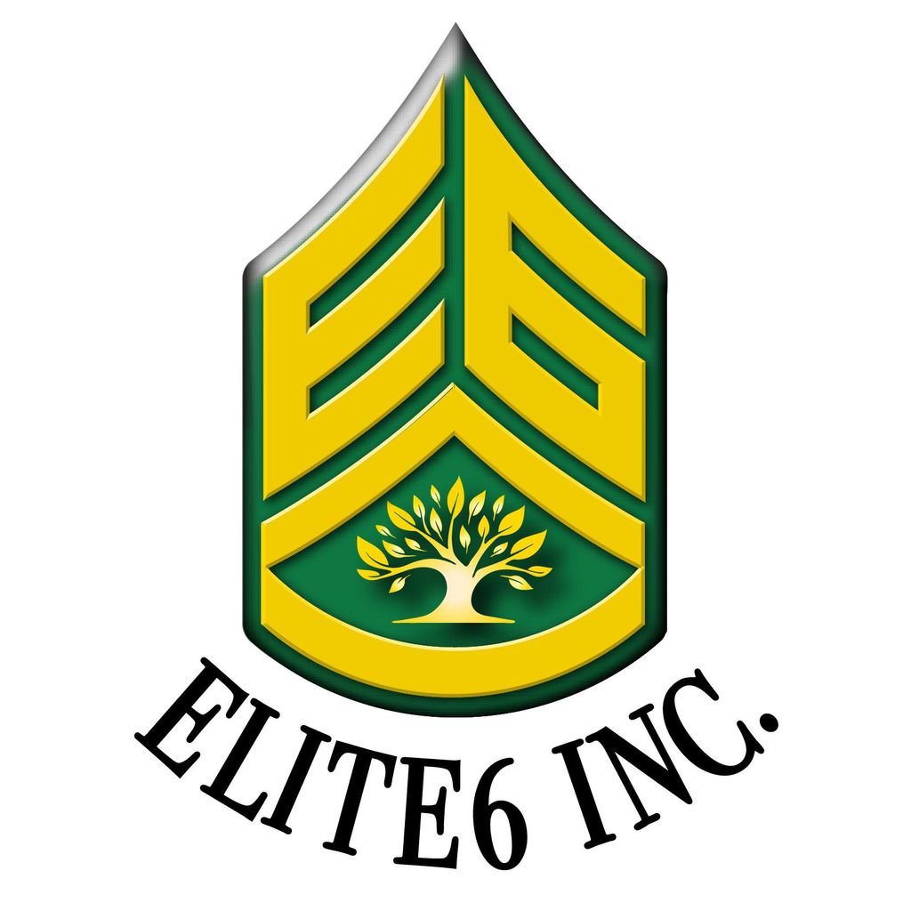Elite6 Inc.