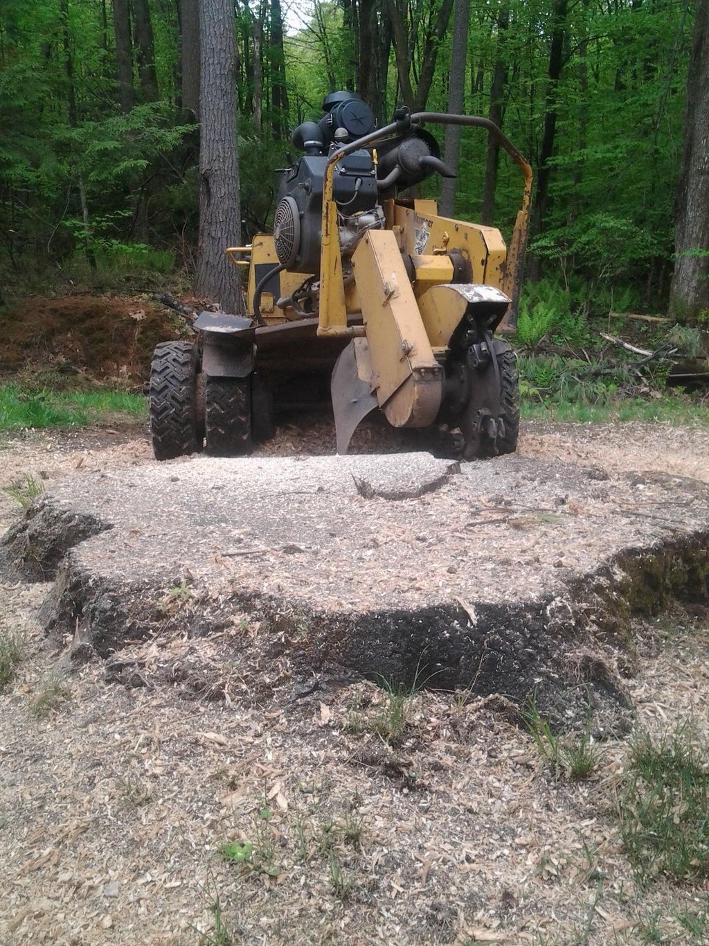 Monster Stump!