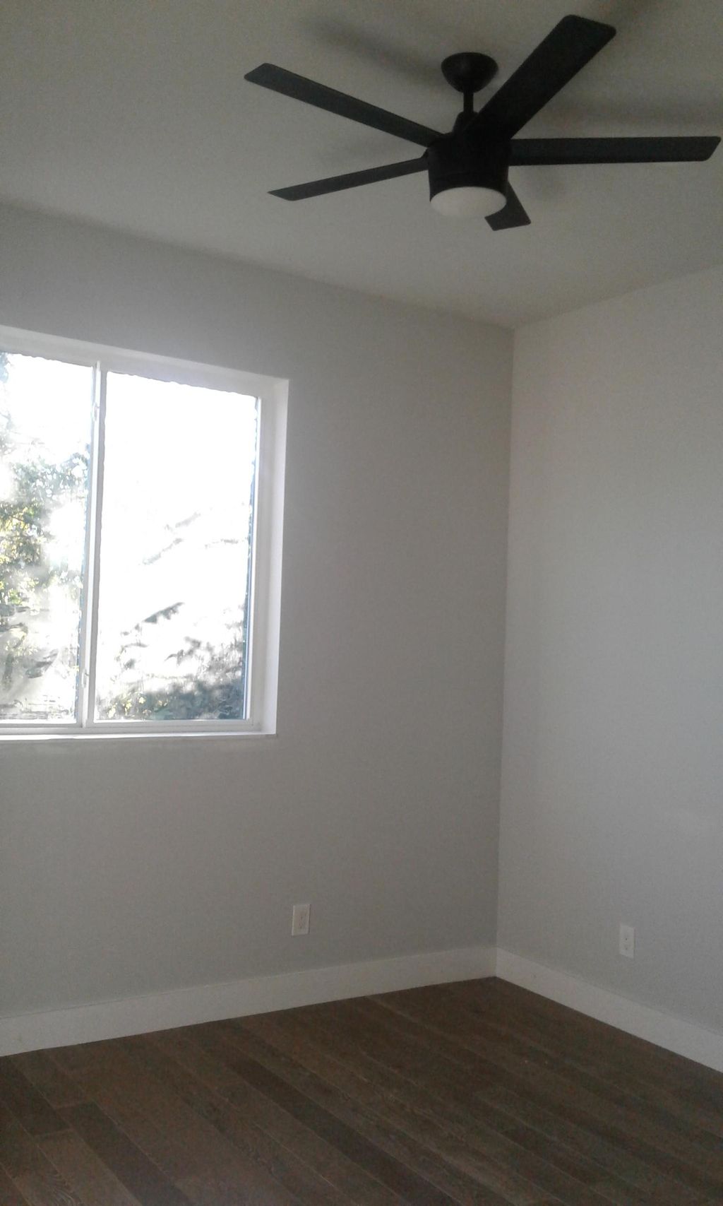 room painted