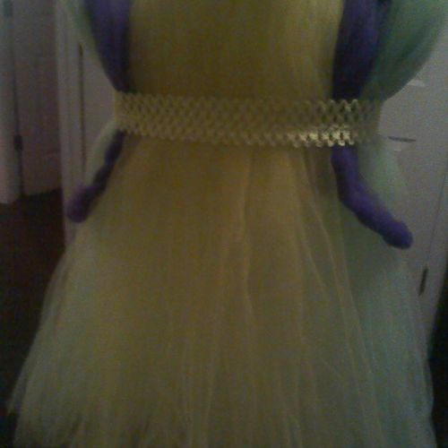 Princess Tiara tutu dress