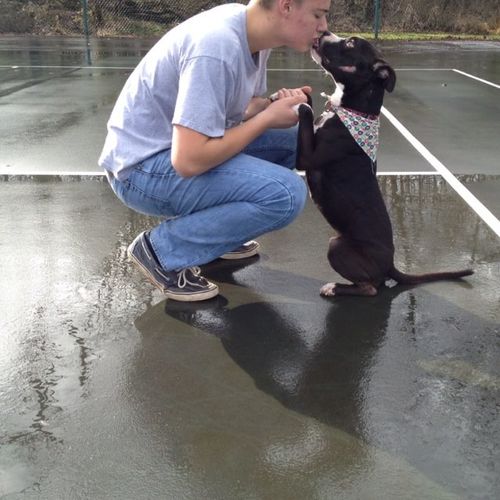 Ex-Foster dog, Handsome, getting kisses at the par