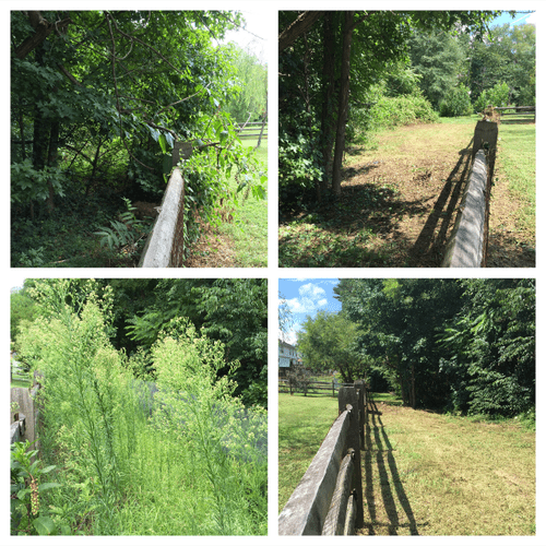 Before and After Fence Line Maintenance