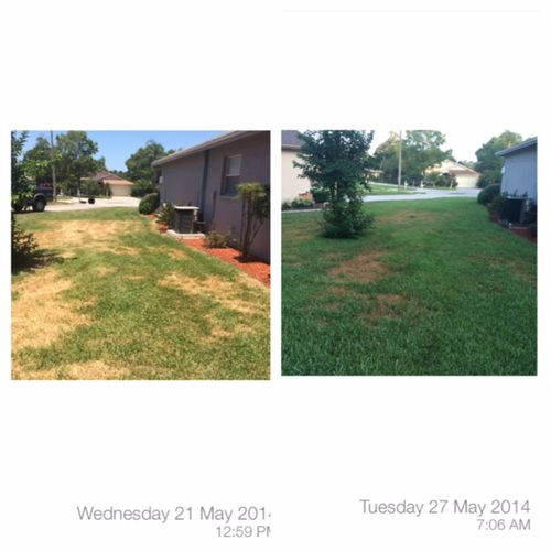 Before and After examples of Drought Stress