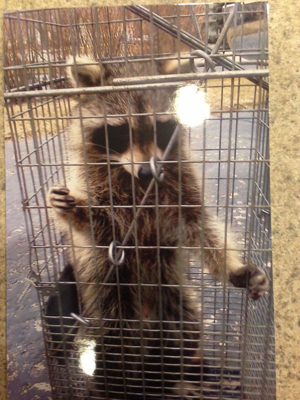 “I’m innocent”