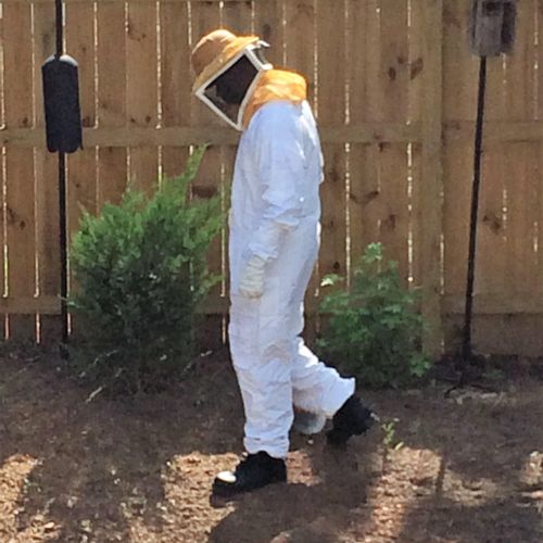 Bee suit
