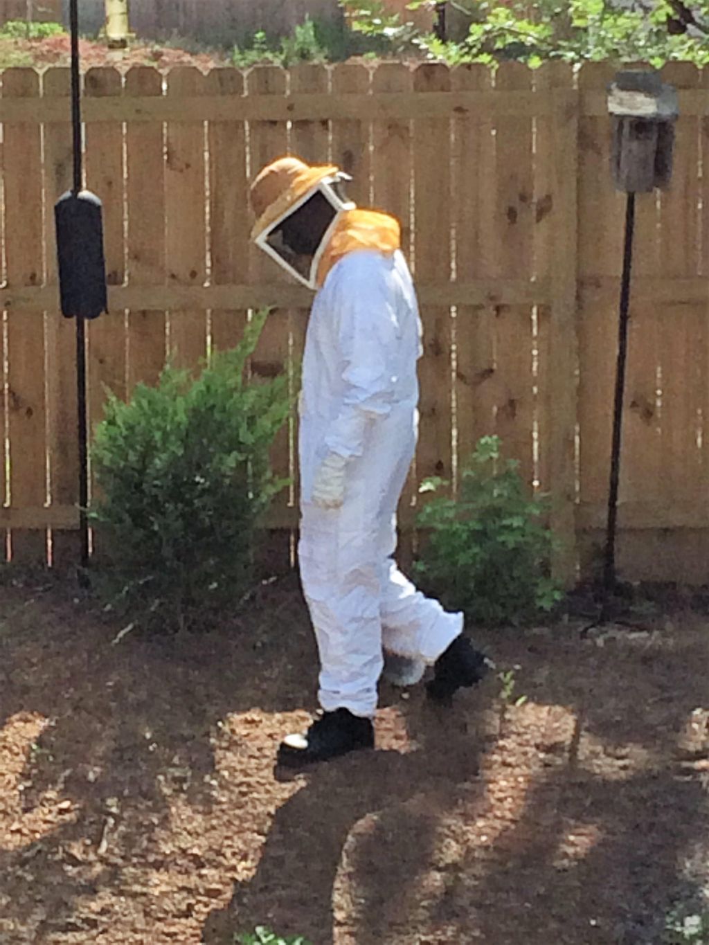 Bee suit