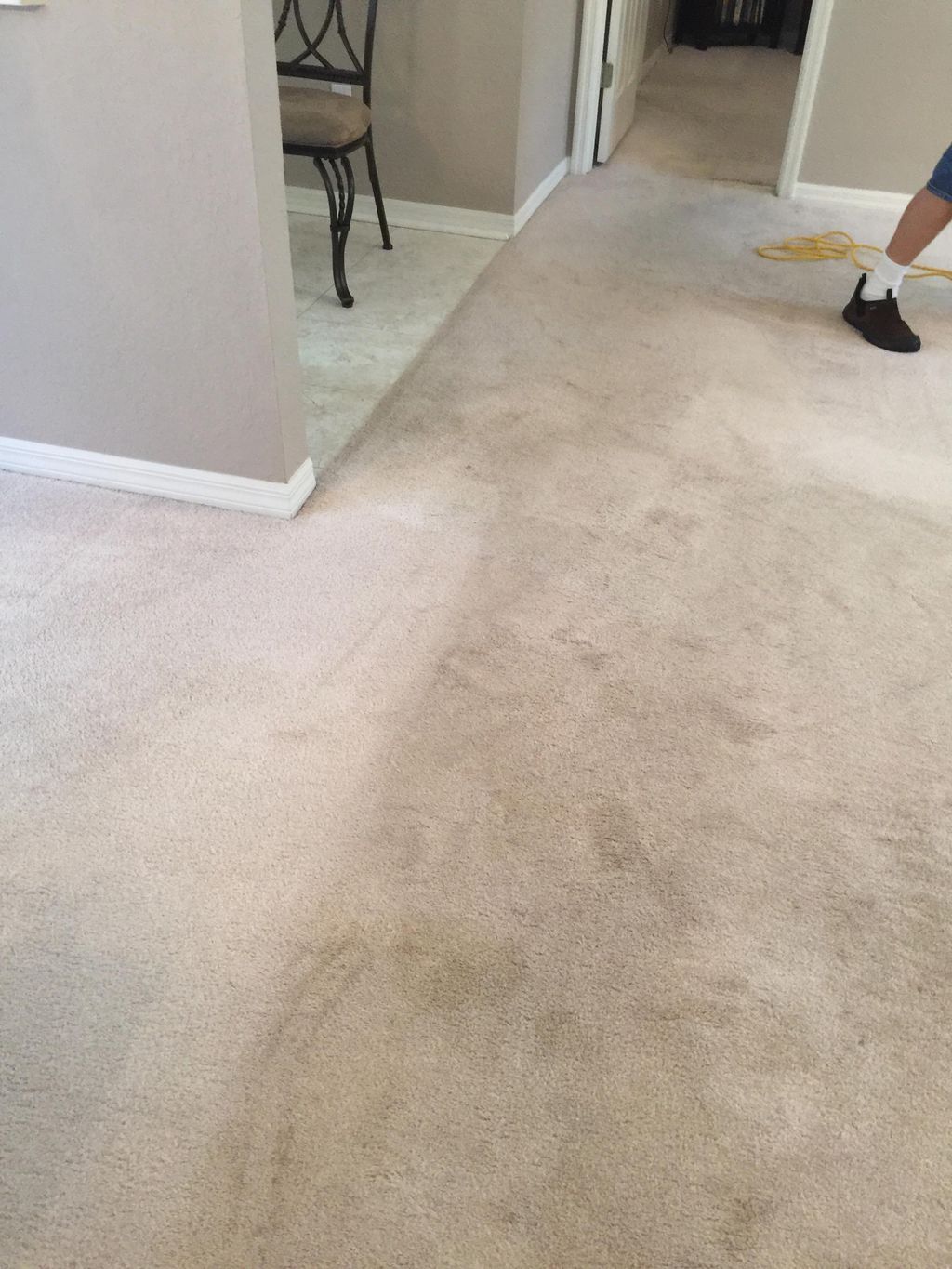 Carpet cleaning in process near Davenport FL