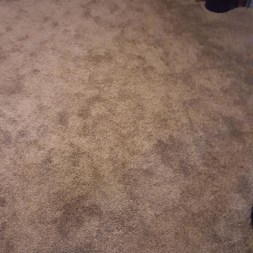 Carpet install