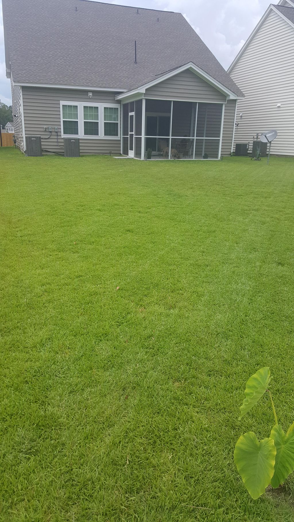 3.5 months from before picture 