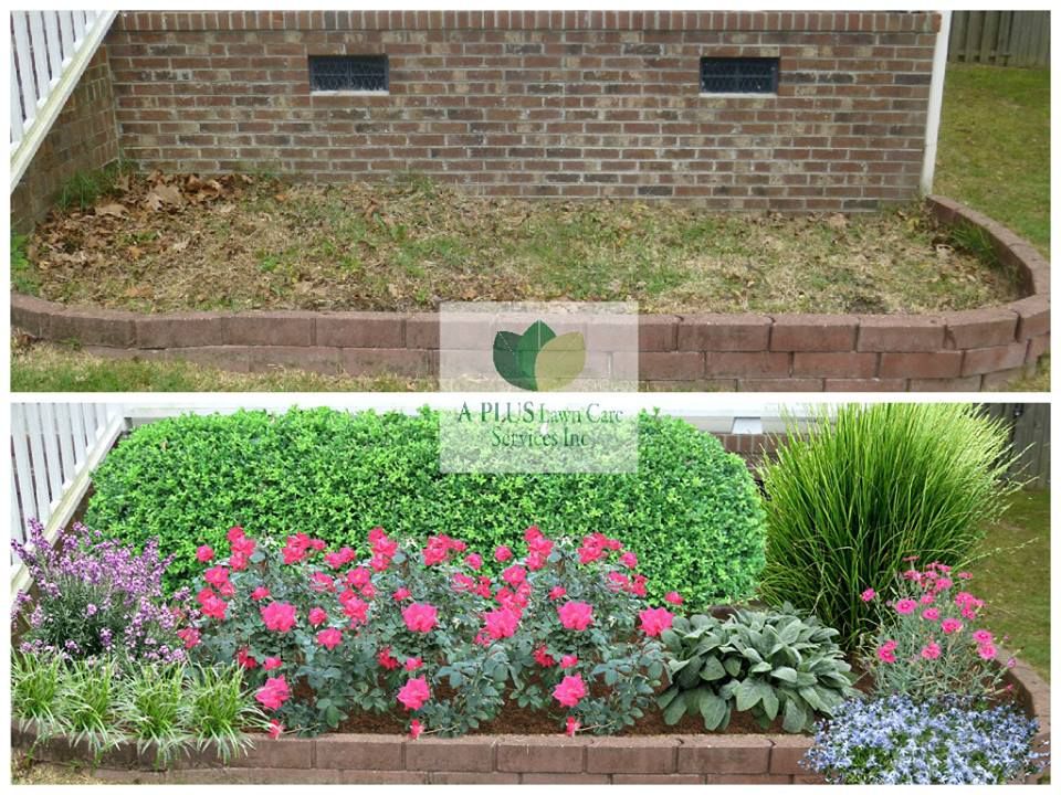 Landscaping Design & Instalaltion