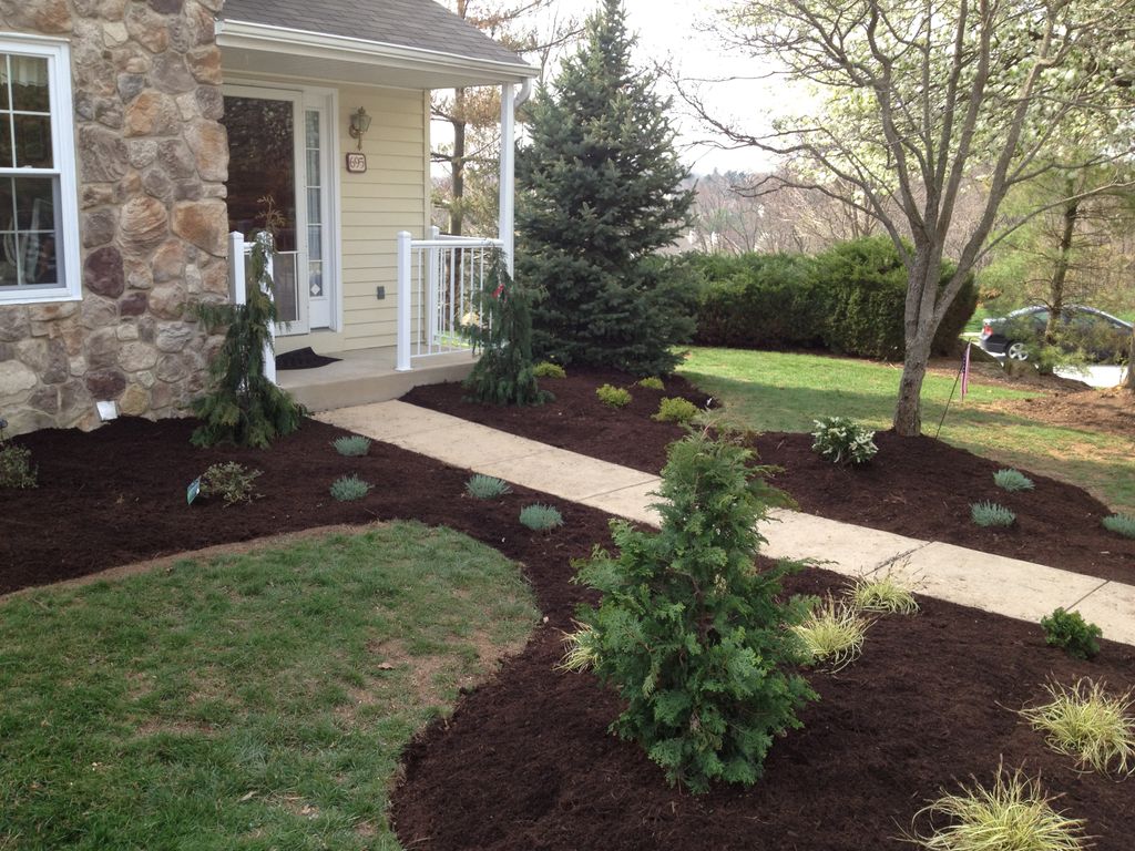 Townhouse planting low maintenace