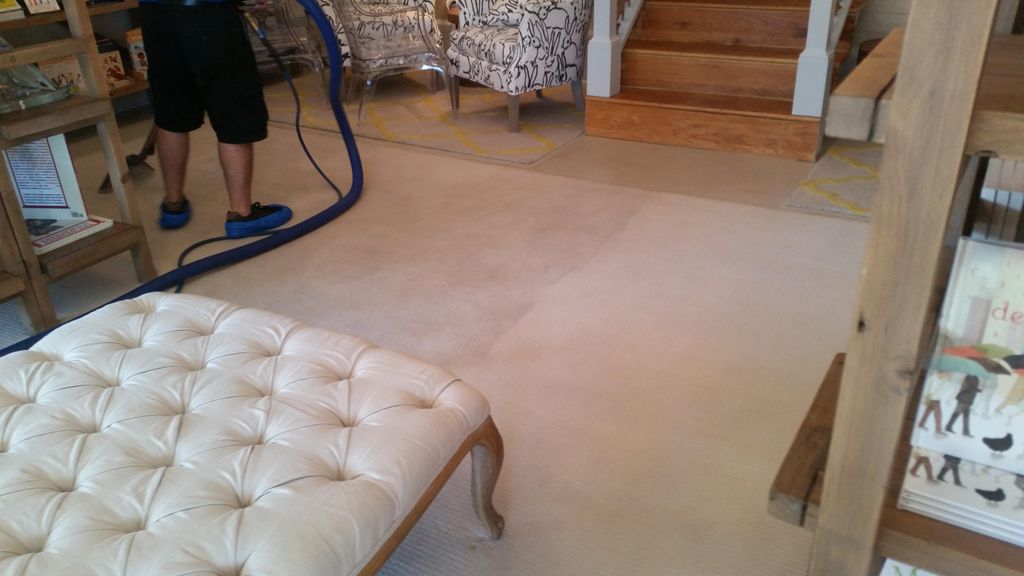 Sparky Carpet Cleaning