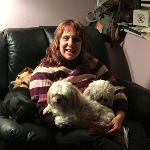 Sindee's Strays, Inc. Cortlandt Manor, NY Thumbtack