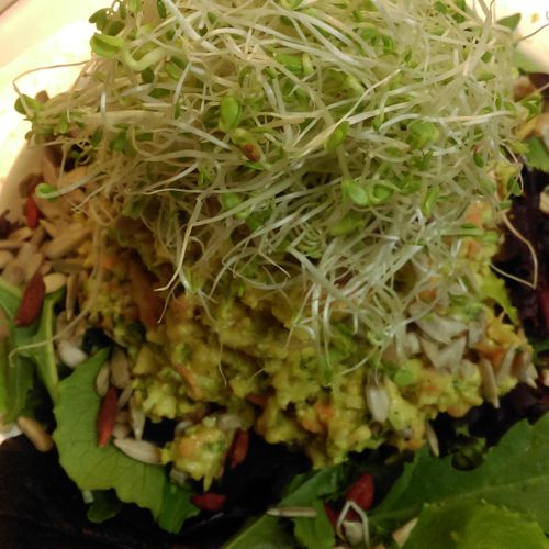 Raw Chopped Salad w Sprouts